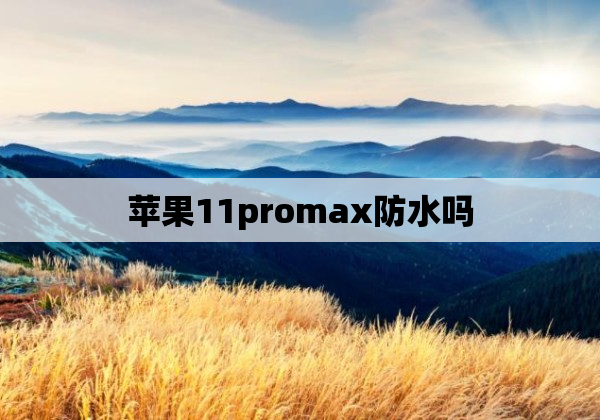 苹果11promax防水吗