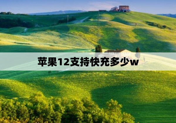 苹果12支持快充多少w