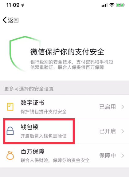 微信钱包提高安全性的操作技巧截图