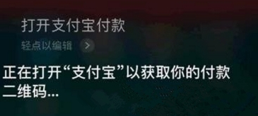 支付宝使用语音支付的操作流程截图