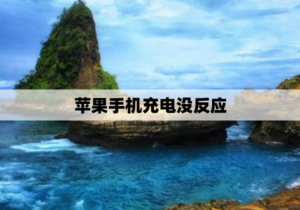 苹果手机充电没反应