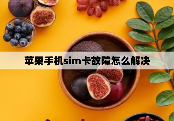 苹果手机sim卡故障怎么解决