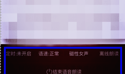 掌阅听书设置声音类型的操作过程截图