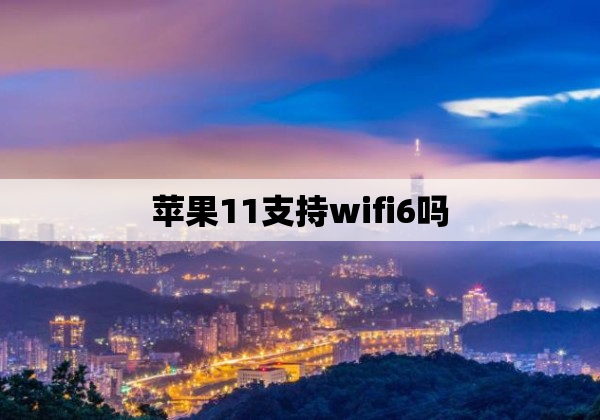 苹果11支持wifi6吗