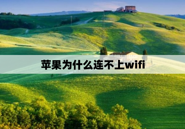 苹果为什么连不上wifi