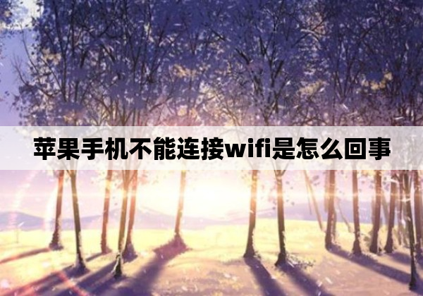 苹果手机不能连接wifi是怎么回事