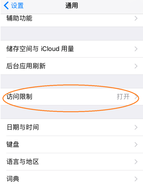 开启iPhone手机访问限制功能的具体操作截图