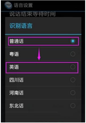 讯飞输入法里进行设置识别语言的操作教程截图