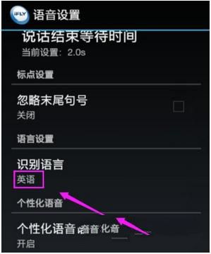 讯飞输入法里进行设置识别语言的操作教程截图