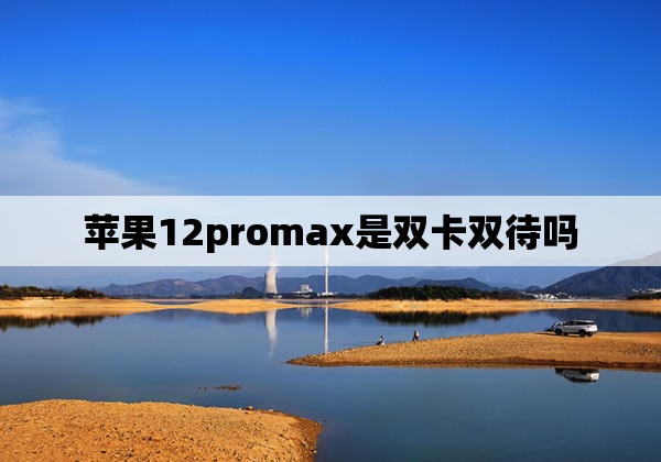 苹果12promax是双卡双待吗