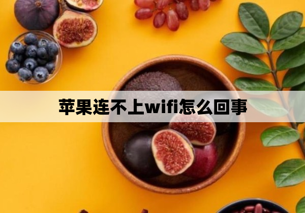 苹果连不上wifi怎么回事