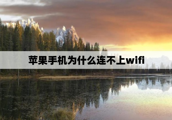 苹果手机为什么连不上wifi