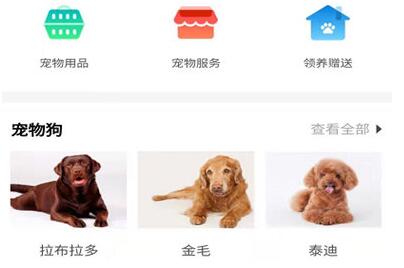 58同城APP里发布宠物信息的步骤介绍截图