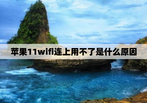 苹果11wifi连上用不了是什么原因