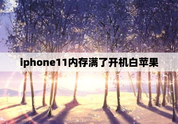 iphone11内存满了开机白苹果