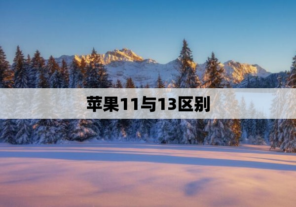 苹果11与13区别