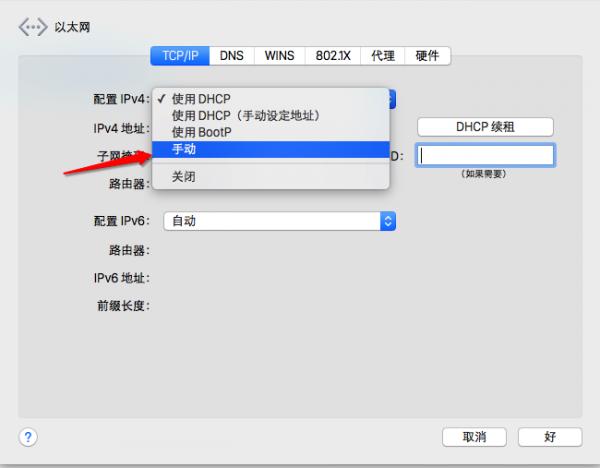 苹果Mac  DNS怎么设置？