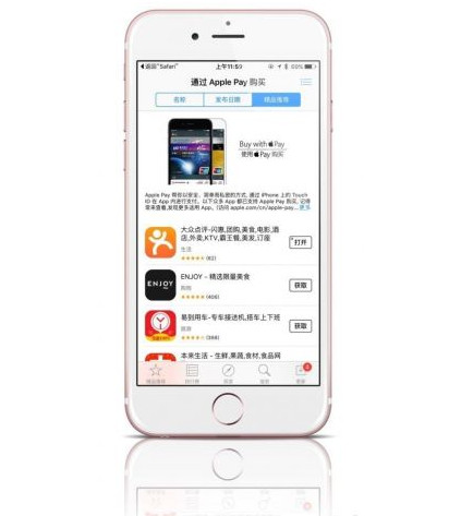 applepay支付界面什么样