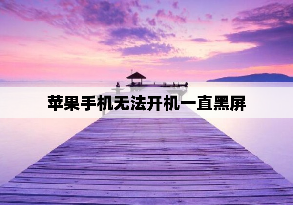 苹果手机无法开机一直黑屏