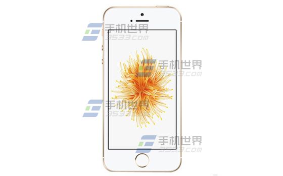 苹果iPhoneSE怎么查询激活时间