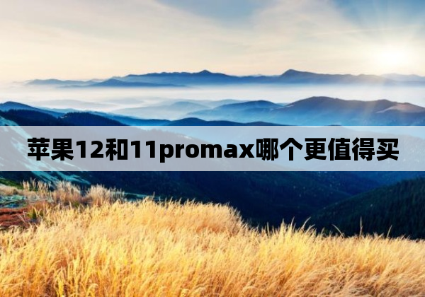 苹果12和11promax哪个更值得买