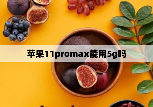 苹果11promax能用5g吗