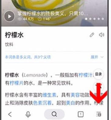 在简单搜索里查看网址的基础操作截图