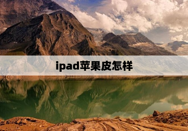 ipad苹果皮怎样