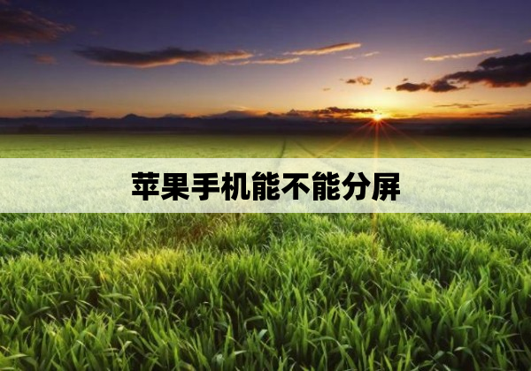 苹果手机能不能分屏