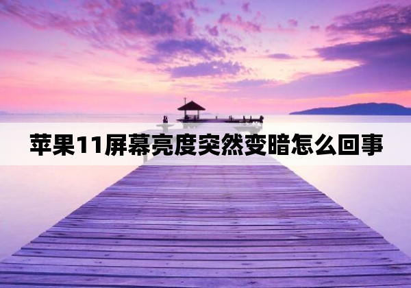 苹果11屏幕亮度突然变暗怎么回事