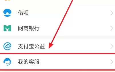 支付宝进入我的客服查看扣款原因的方法教程截图