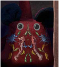img202312191605450_info119X134.png