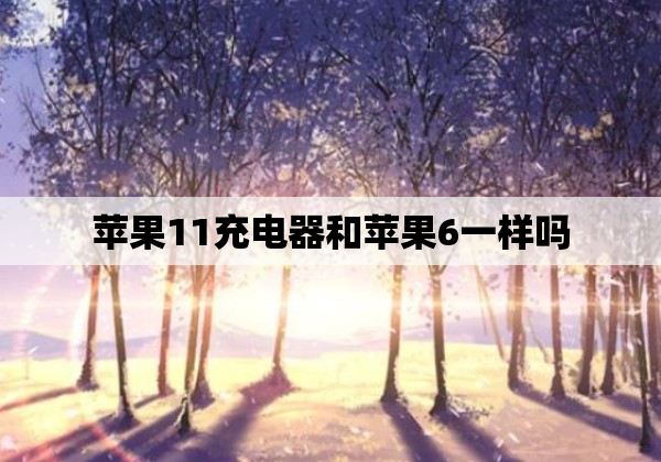 苹果11充电器和苹果6一样吗