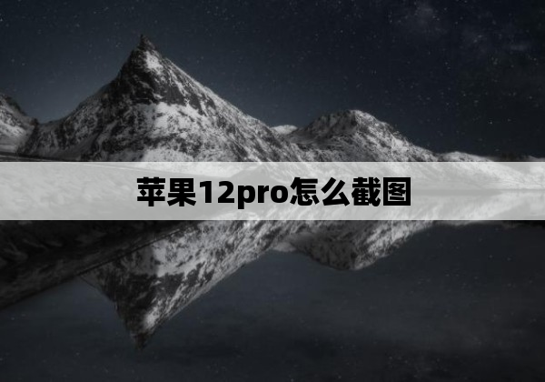 苹果12pro怎么截图