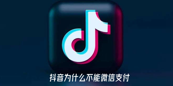 抖音不能微信支付的操作方法