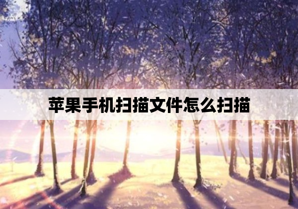 苹果手机扫描文件怎么扫描