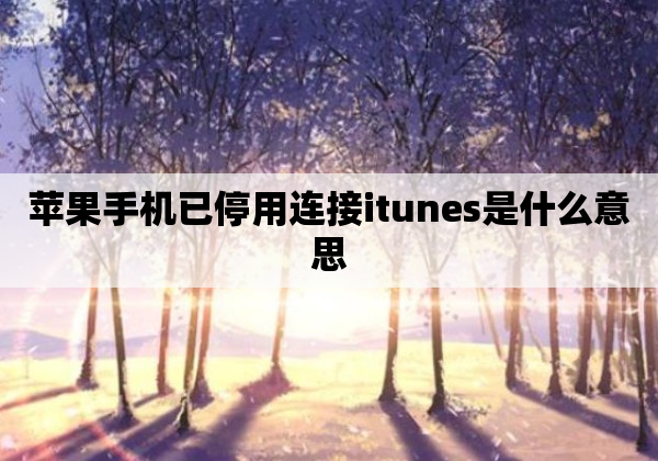 苹果手机已停用连接itunes是什么意思