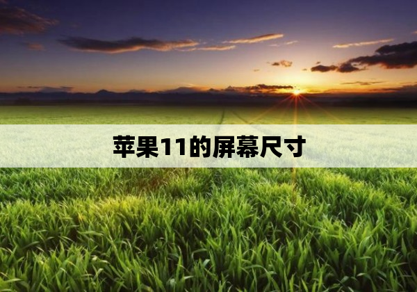 苹果11的屏幕尺寸