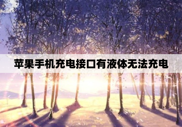 苹果手机充电接口有液体无法充电