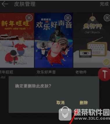 网易云音乐已下载皮肤怎么删除 网易云音乐已下载皮肤删除教程分享2