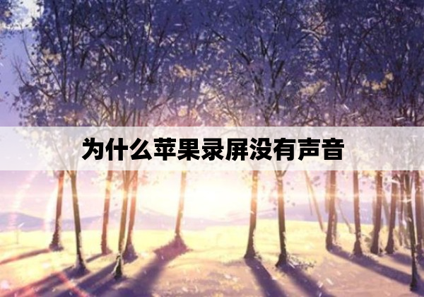 为什么苹果录屏没有声音