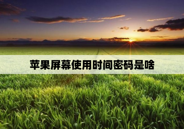 苹果屏幕使用时间密码是啥