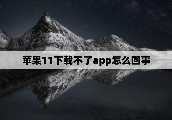 苹果11下载不了app怎么回事