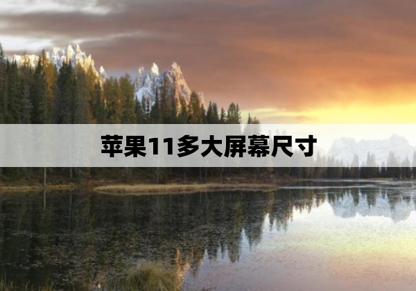 苹果11多大屏幕尺寸