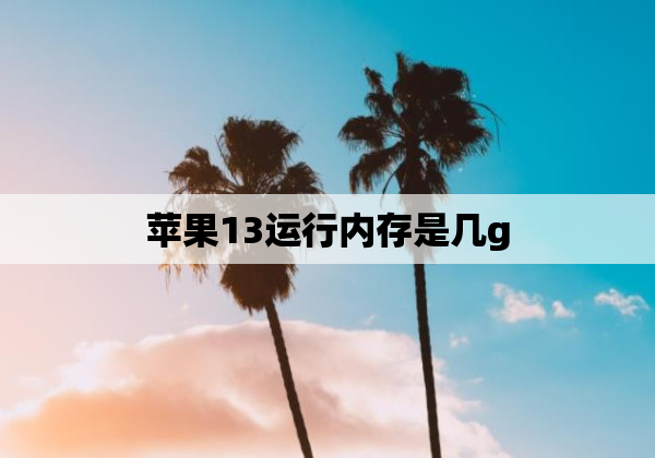 苹果13运行内存是几g