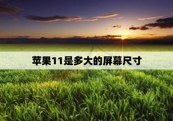 苹果11是多大的屏幕尺寸