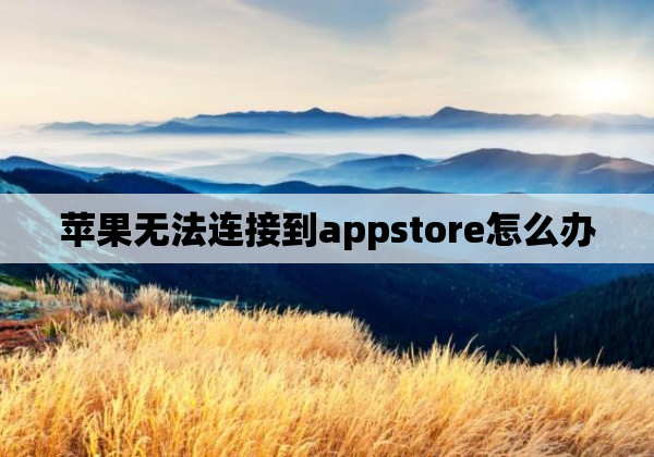 苹果无法连接到appstore怎么办