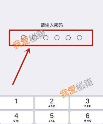 Applestore12月26日无法进入怎么办-苹果商店无法连接解决办法