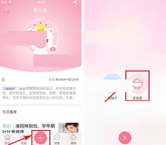 育儿宝APP发食谱的简单操作截图