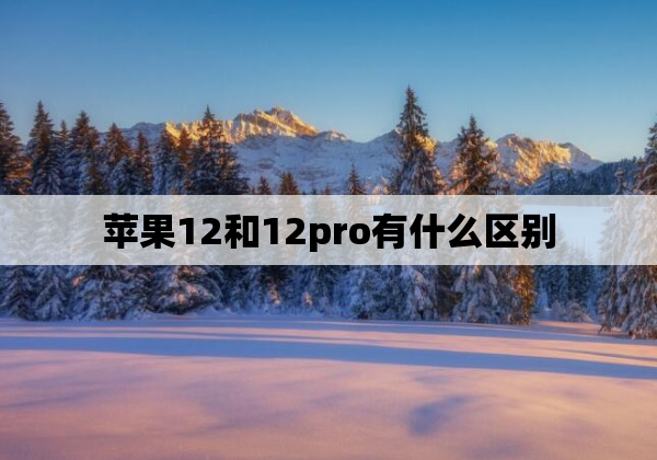 苹果12和12pro有什么区别